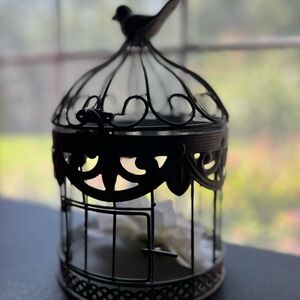 Decorative Gray Birdcage 7x7 Top Opens
